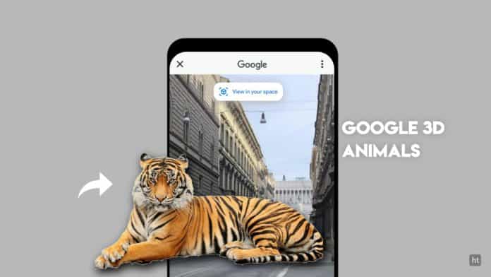 Google 3D animals