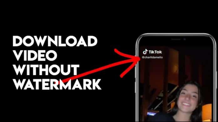 Download TikTok Videos without watermark