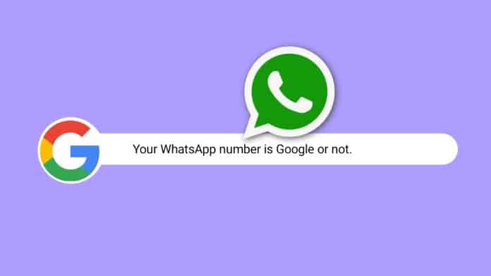 WhatsApp number display in google