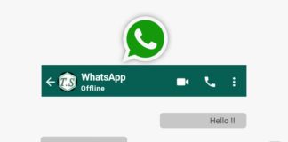 whatsapp offline