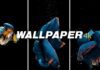 Live Fish Wallpaper app
