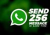 Send WhatsApp message up to 256