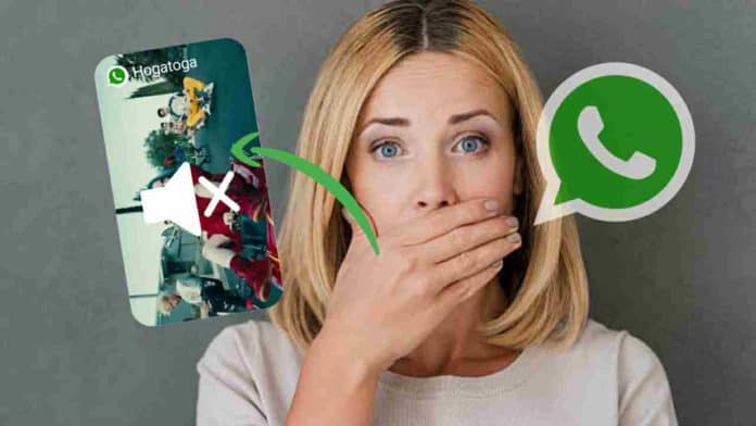 WhatsApp new video mute feature