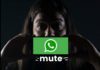WhatsApp working on new Mute Calls