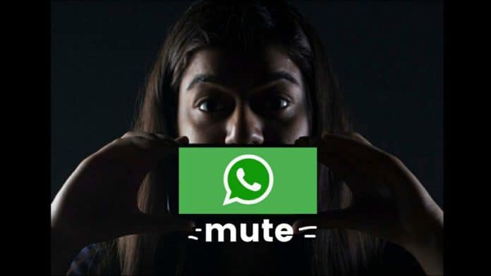 Mute WhatsApp video you send