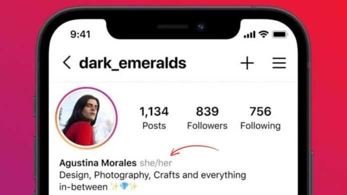 Instagram add profiles pronouns feature