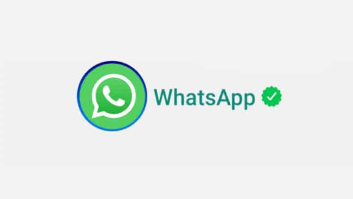WhatsApp new Section for Report bug
