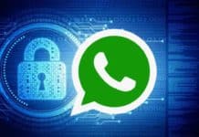 WhatsApp Disable link Previews