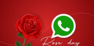 Happy Rose Day 2023 Quotes