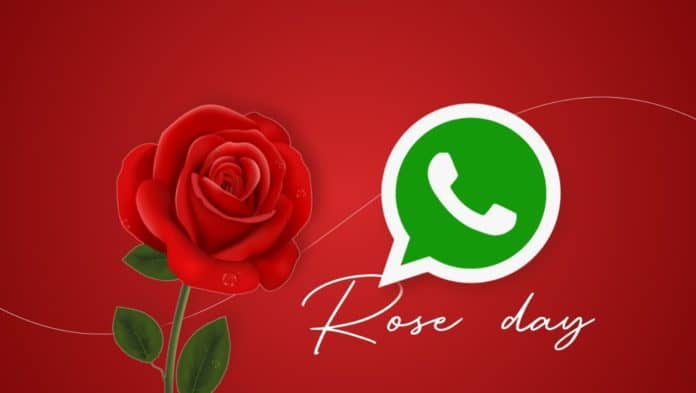 Happy Rose Day 2022 Stickers