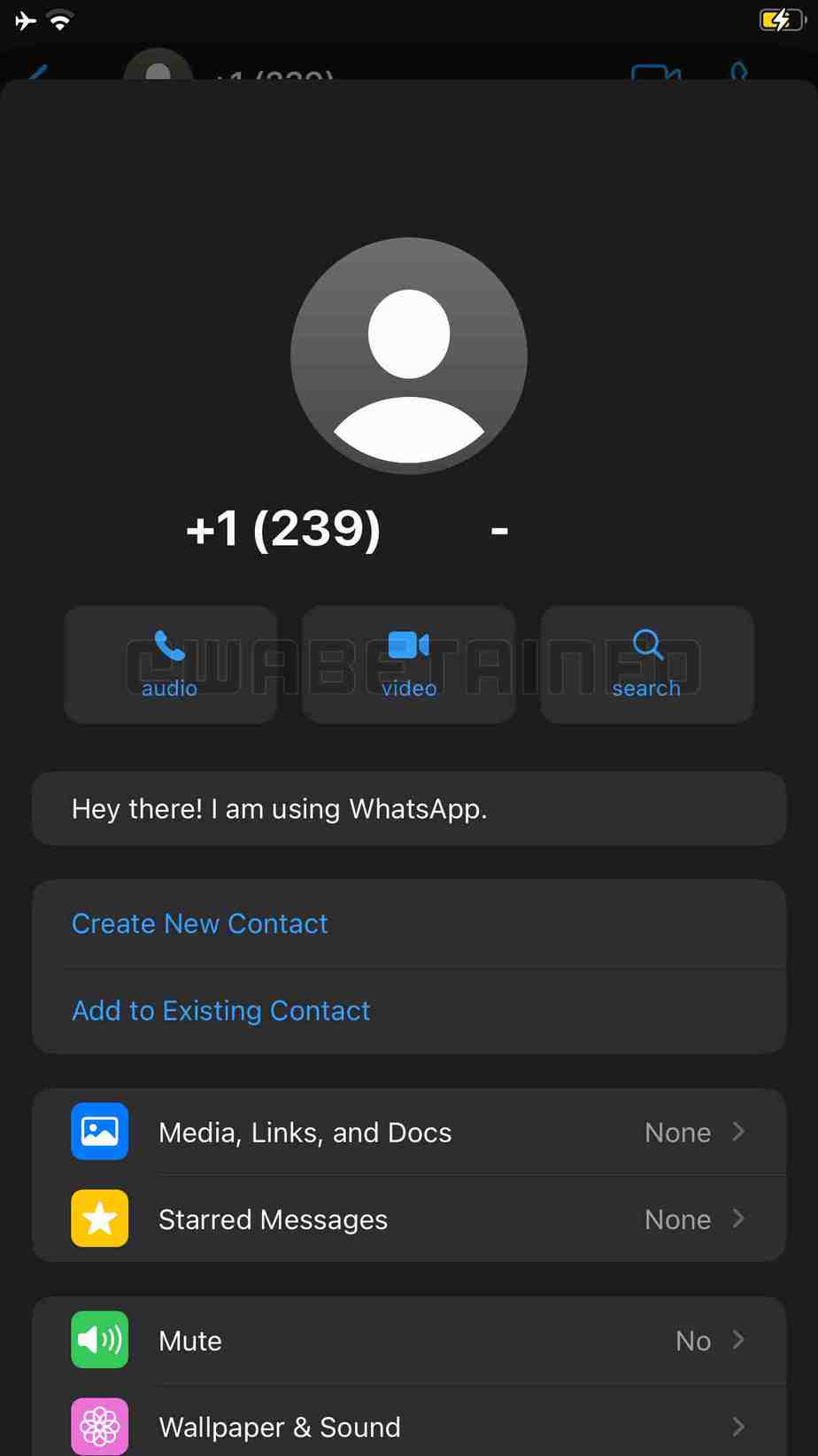 WhatsApp new UI for Contact Info, Image Credit: WABetaInfo
