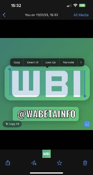 WhatsApp new Text Detection within images, Image Credit: WABetaInfo