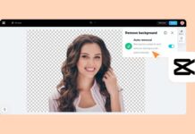 AI for Video Background Removal