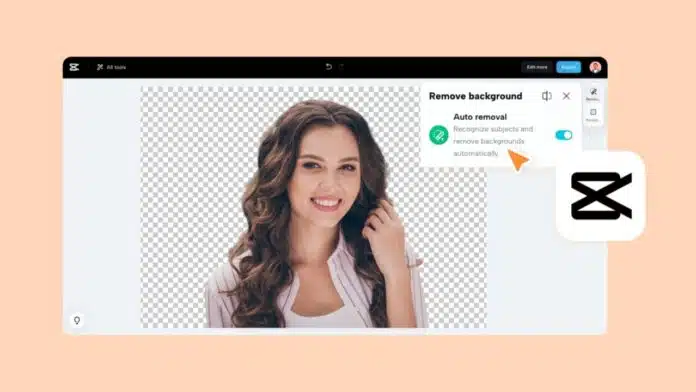 AI for Video Background Removal